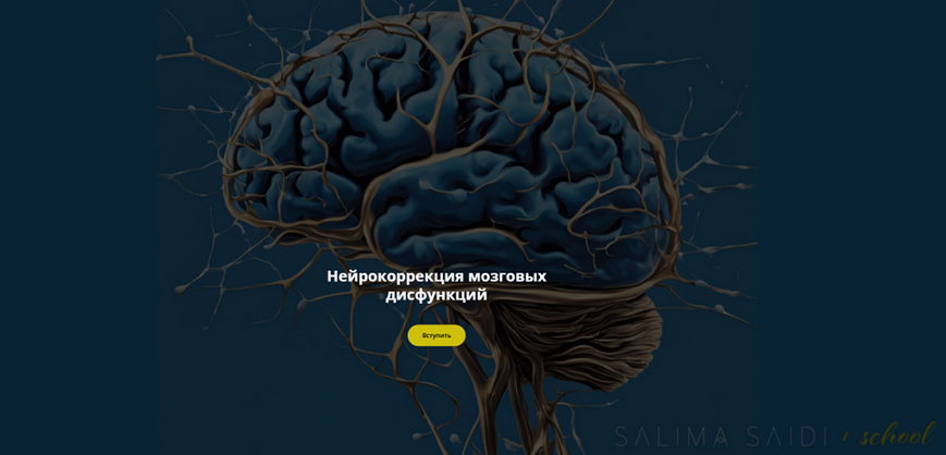 [Салима Саиди] Нейрокоррекция мозговых дисфункций._0.png